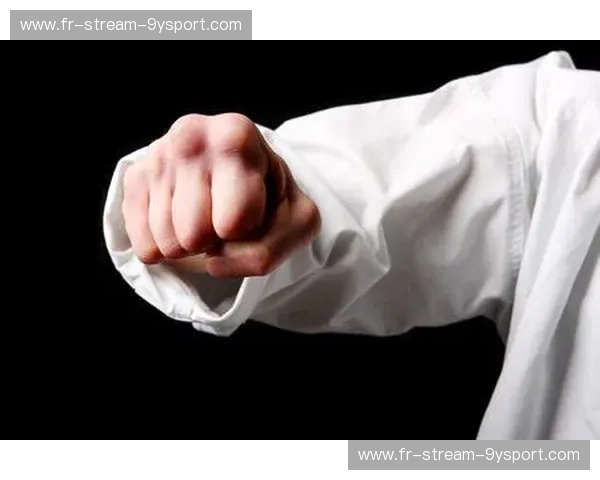 空手道阵型：把拳势化作团队与人生的进阶密码